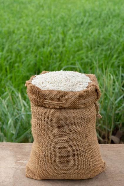 rICE-01-1