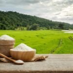 rice-the-staple-diet-of-half-the-world