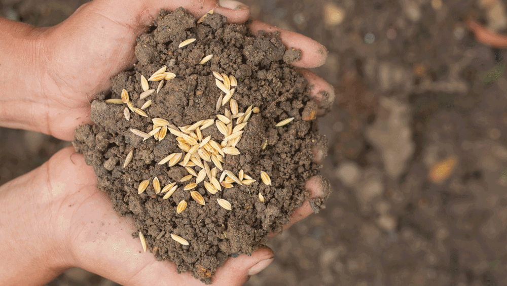 soil-tech