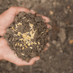soil-tech