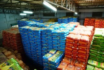 Rice-bags