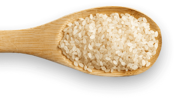 rice grains with spoon