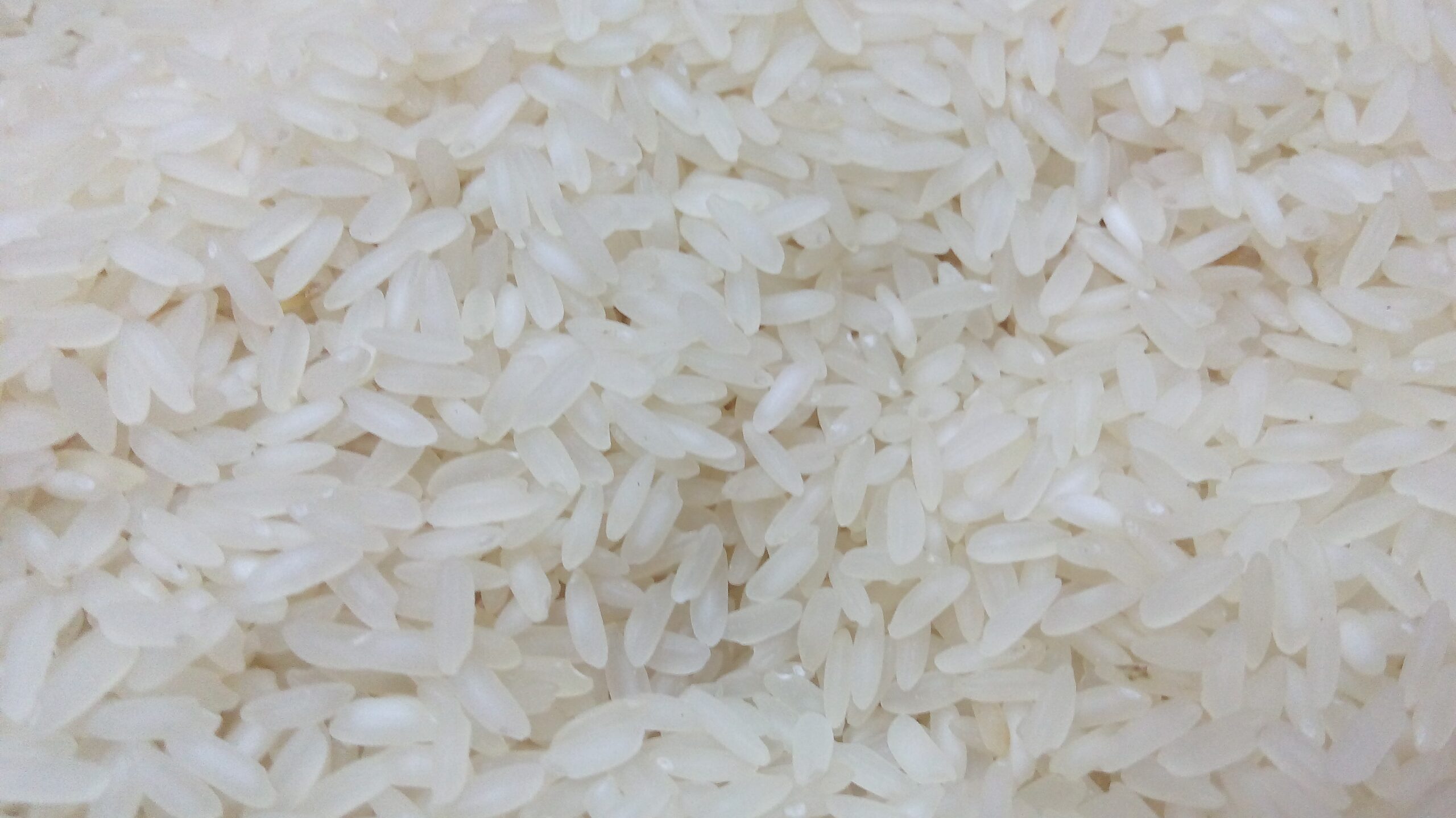 Leftover rice