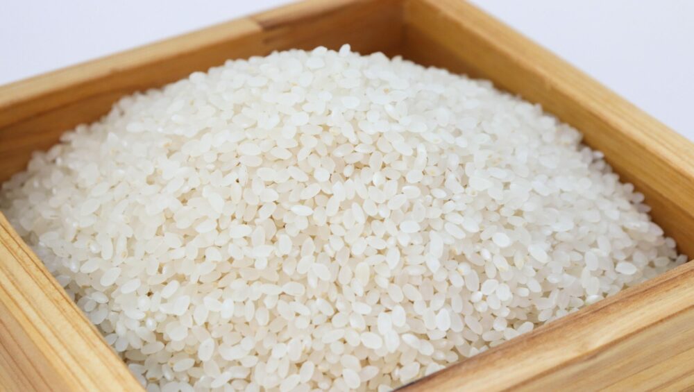 Rice